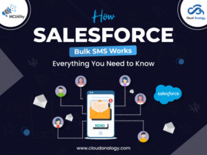 Read more about the article How Salesforce Bulk SMS Works: Everything You Need to Know 